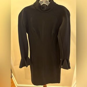 Long sleeved, black TAHARI dress